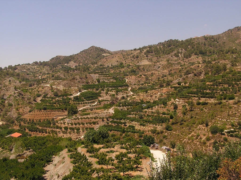 Pallouriotissa